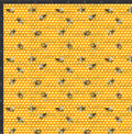 Honeycomb Bees Print