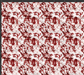Blood Splatter Print