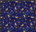 Moon and Bats Print