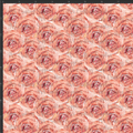Pink Roses Print