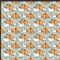 White and Orange Pumpkins Print