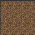 Cheetah Print