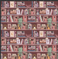 Fantasy Bookshelf Print