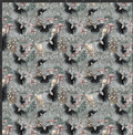 Moth Print