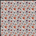 Eyeballs Print
